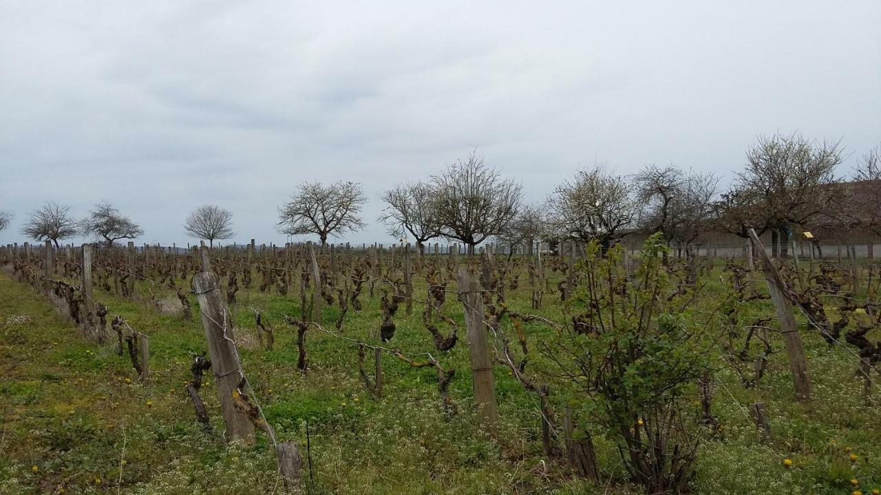 דירות Farges-les-Chalon La Chagnelotte מראה חיצוני תמונה
